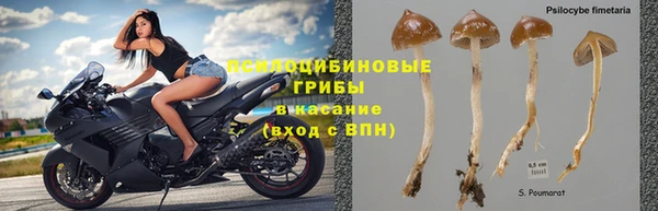 меф Абаза
