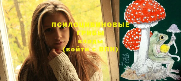 эйфоретик Абинск