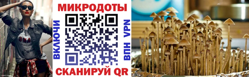 купить Тарко-Сале Псилоцибиновые грибы MAGIC MUSHROOMS
